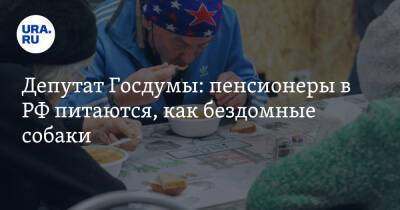 Депутат Госдумы: пенсионеры в РФ питаются, как бездомные собаки. «Еле концы с концами сводят»