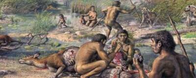 Ученые из Университета Тулузы: неандертальцы и homo sapiens жили по соседству на юге Франции