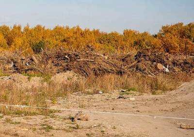 Минприроды назвало сроки восстановления земли на бывшей свалке в Хамбушеве