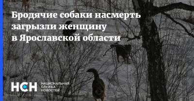 Бродячие собаки насмерть загрызли женщину в Ярославской области