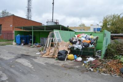 Штрафы за невывоз мусора в Подмосковье повысят в десять раз