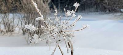 Мягкая зимняя погода ожидает жителей Карелии 11 февраля