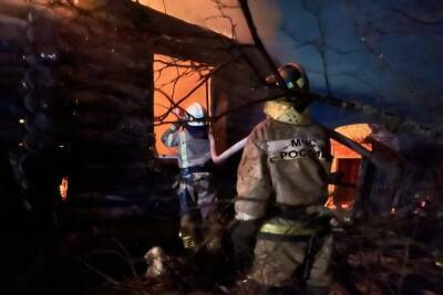 В Меленковском и Гусь-Хрустальном районах в огне погибли два человека
