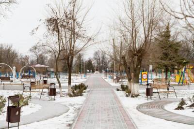 Муниципалитеты Волгоградской области получат 305 млн на содержание парков