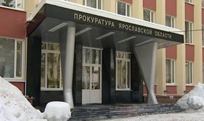 В Переславле-Залесском после нападения бездомных собак на женщину возбудили дело о халатности против чиновников