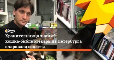 Хранительница знаний: кошка-библиотекарь из Петербурга очаровала соцсети