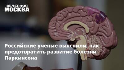 Российские ученые выяснили, как предотвратить развитие болезни Паркинсона