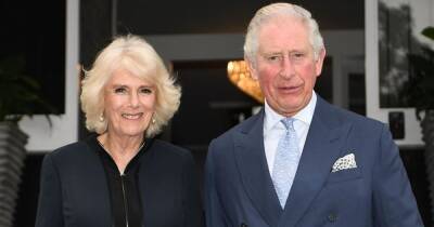 Принц Чарльз заразился коронавирусом после шикарного приема в Британском музее
