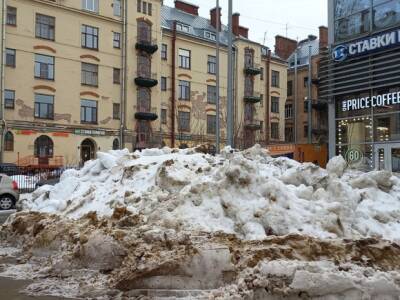 Ущерб от хищений при уборке снега на Васильевском острове в Петербурге оценили в 1 млн рублей