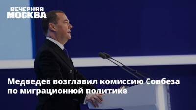 Медведев возглавил комиссию Совбеза по миграционной политике