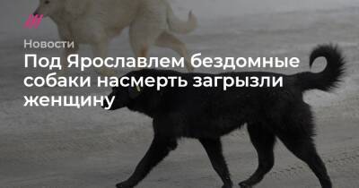 Под Ярославлем бездомные собаки насмерть загрызли женщину