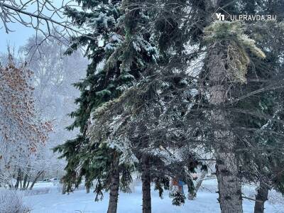 Синоптики прогнозируют в Ульяновской области небольшой снег
