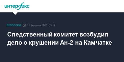 Следственный комитет возбудил дело о крушении Ан-2 на Камчатке - interfax.ru - Москва - Россия - район Елизовский - Следственный Комитет
