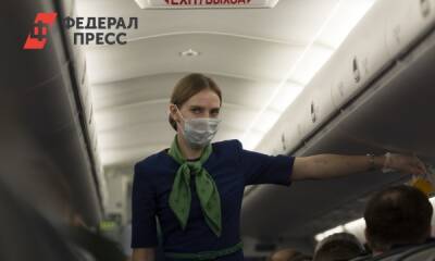 В России могут изменить правила перевозки в самолетах