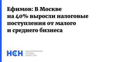 Ефимов: В Москве на 40% выросли налоговые поступления от малого и среднего бизнеса