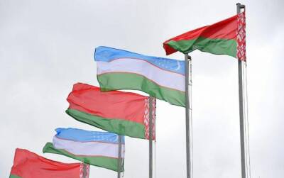 После Армении словами Лукашенко возмутились и в Узбекистане