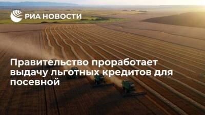 Вице-премьер Абрамченко поручила проработать вопрос выдачи льготных кредитов для посевной