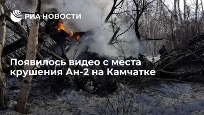 СК опубликовал видео с места падения Ан-2 на Камчатке