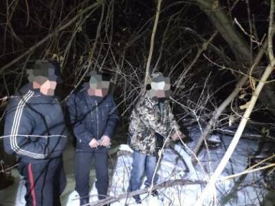 Под Новосибирском мужчина вывез на санках убитого знакомого на свалку