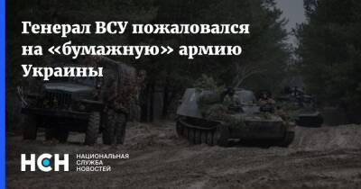 Генерал ВСУ пожаловался на «бумажную» армию Украины