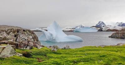 Украинские полярники зарегистрировали в Антарктиде температурный рекорд (ФОТО)
