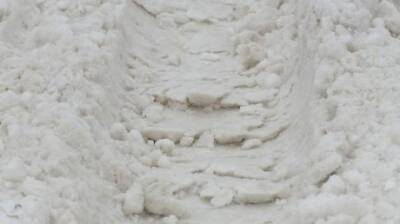 В Пензе после жалобы горожанки с территории рынка вывезут снег