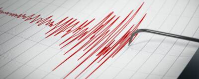 В Тоджинском районе Тувы произошло землетрясение магнитудой 4,5