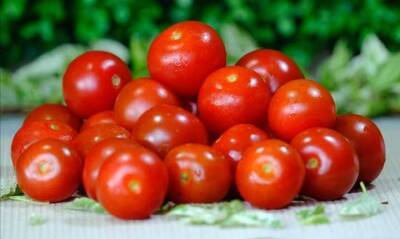 Врач-диетолог Гинзбург рассказал о пользе томатов для здоровья легких