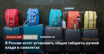 В России хотят установить общие габариты ручной клади в самолетах