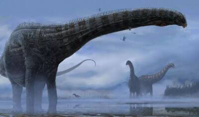 У динозавра, жившего 150 миллионов лет назад, диагностировали респираторную инфекцию