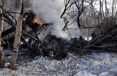 Упавший на Камчатке Ан-2 вез груз на север региона