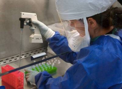 Ученые обнаружили неожиданную защиту от повторного заболевания коронавирусом