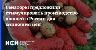Сенаторы предложили стимулировать производство овощей в России для снижения цен