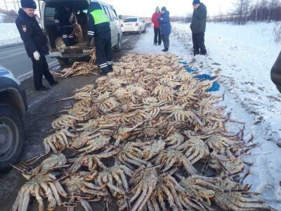 700 килограммов крабов нашли полицейские в машине у сахалинца - sakhalin.info - Россия - городское поселение Анивский - район Анивский
