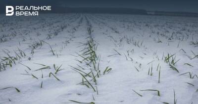 В Татарстане на некоторых полях высота снежного покрова превысила норму в два раза