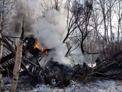 На Камчатке упал частный самолет АН-2 - kasparov.ru - Россия - Камчатский край - район Елизовский