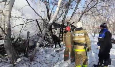 В районе села Северные Коряки на Камчатке при крушении Ан-2 погибли два человека