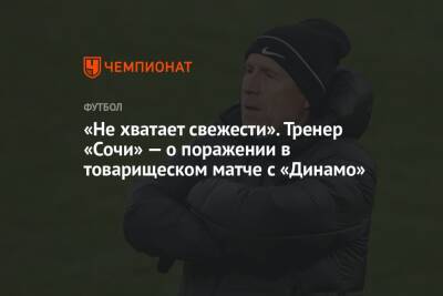«Не хватает свежести». Тренер «Сочи» — о поражении в товарищеском матче с «Динамо»