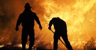 Калифорнию охватили масштабные лесные пожары