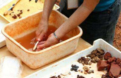 На Сицилии археологи нашли древний керамический сосуд с яйцами паразитов