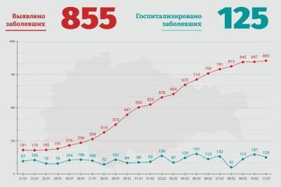 В Курской области за сутки выявили 855 человек с вирусом COVID-19