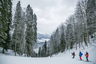 Аудиогид для экскурсии на лыжах появился в парке «Сокольники»