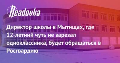 Директор школы в Мытищах, где 12-летний чуть не зарезал одноклассника, будет обращаться в Росгвардию