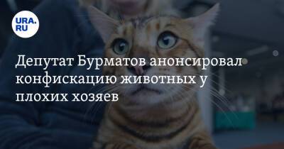 Депутат Бурматов анонсировал конфискацию животных у плохих хозяев
