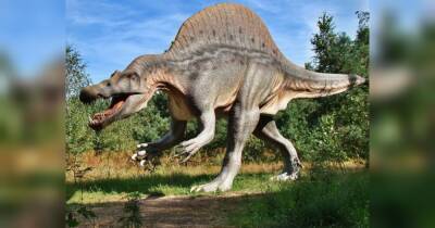 Динозаври пережили пандемію грипу за 100 мільйонів років до вимирання