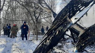 Подробности авиакатастрофы на Камчатке: самолет сгорел, оба пилота погибли