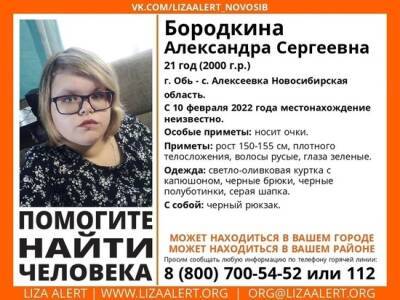 В Новосибирской области ищут безвестно пропавшую Александру Бородкину