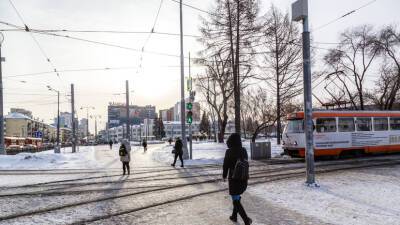 Синоптики предупредили о снегопадах в Свердловской области в выходные