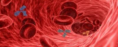 Ученые из университета Кумамото научились управлять ростом новых кровеносных сосудов