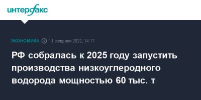 РФ собралась к 2025 году запустить производства низкоуглеродного водорода мощностью 60 тыс. т